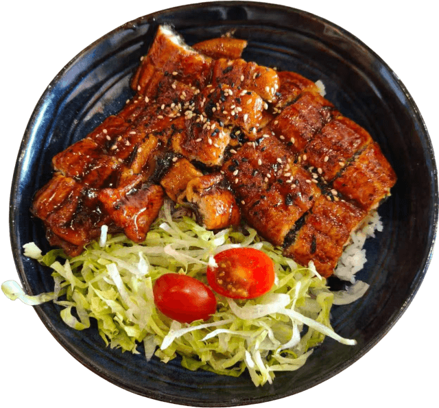 42. unadon grilled eel rice