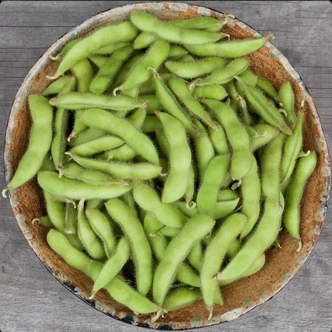 54. Edamame